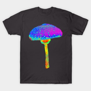 Mushroom T-Shirt